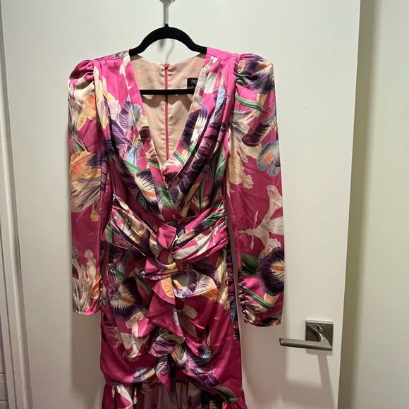 EUC PatBO Grace Knee Length Dress - Picture 3 of 5